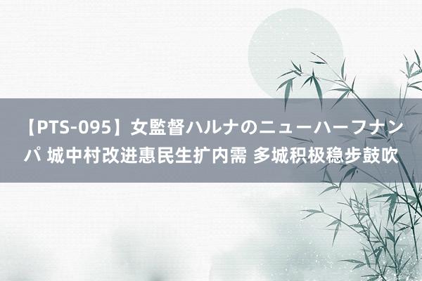 【PTS-095】女監督ハルナのニューハーフナンパ 城中村改进惠民生扩内需 多城积极稳步鼓吹