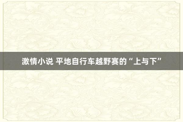 激情小说 平地自行车越野赛的“上与下”