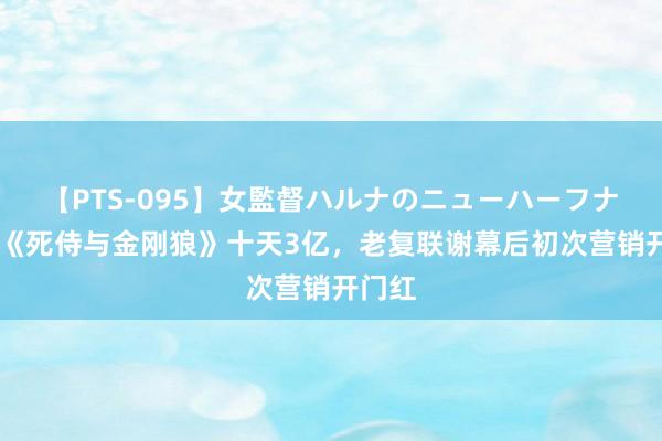 【PTS-095】女監督ハルナのニューハーフナンパ 《死侍与金刚狼》十天3亿，老复联谢幕后初次营销开门红