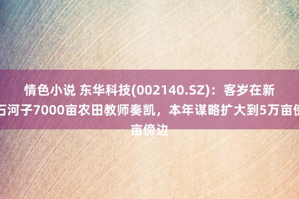 情色小说 东华科技(002140.SZ)：客岁在新疆石河子7000亩农田教师奏凯，本年谋略扩大到5万亩傍边