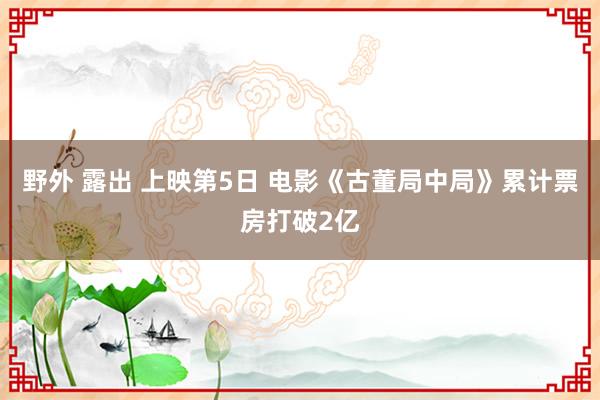 野外 露出 上映第5日 电影《古董局中局》累计票房打破2亿