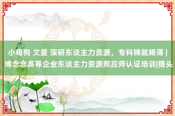 小母狗 文爱 深研东谈主力资源，专科铸就稀薄 | 博念念高等企业东谈主力资源照应师认证培训|猎头