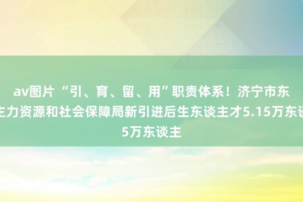 av图片 “引、育、留、用”职责体系！济宁市东谈主力资源和社会保障局新引进后生东谈主才5.15万东谈主