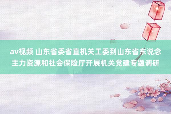 av视频 山东省委省直机关工委到山东省东说念主力资源和社会保险厅开展机关党建专题调研