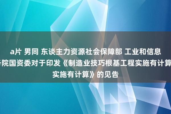 a片 男同 东谈主力资源社会保障部 工业和信息化部 国务院国资委对于印发《制造业技巧根基工程实施有计算》的见告